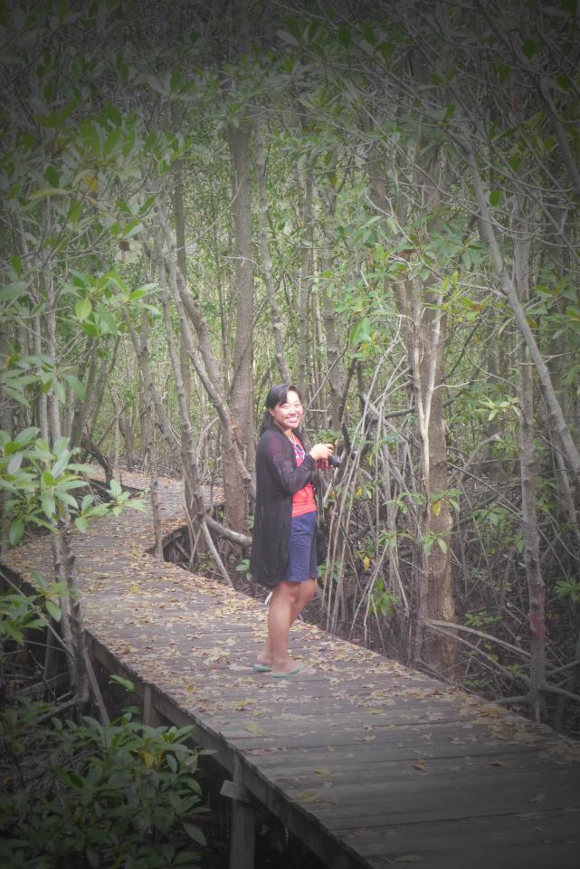 At the Mangrove Forest